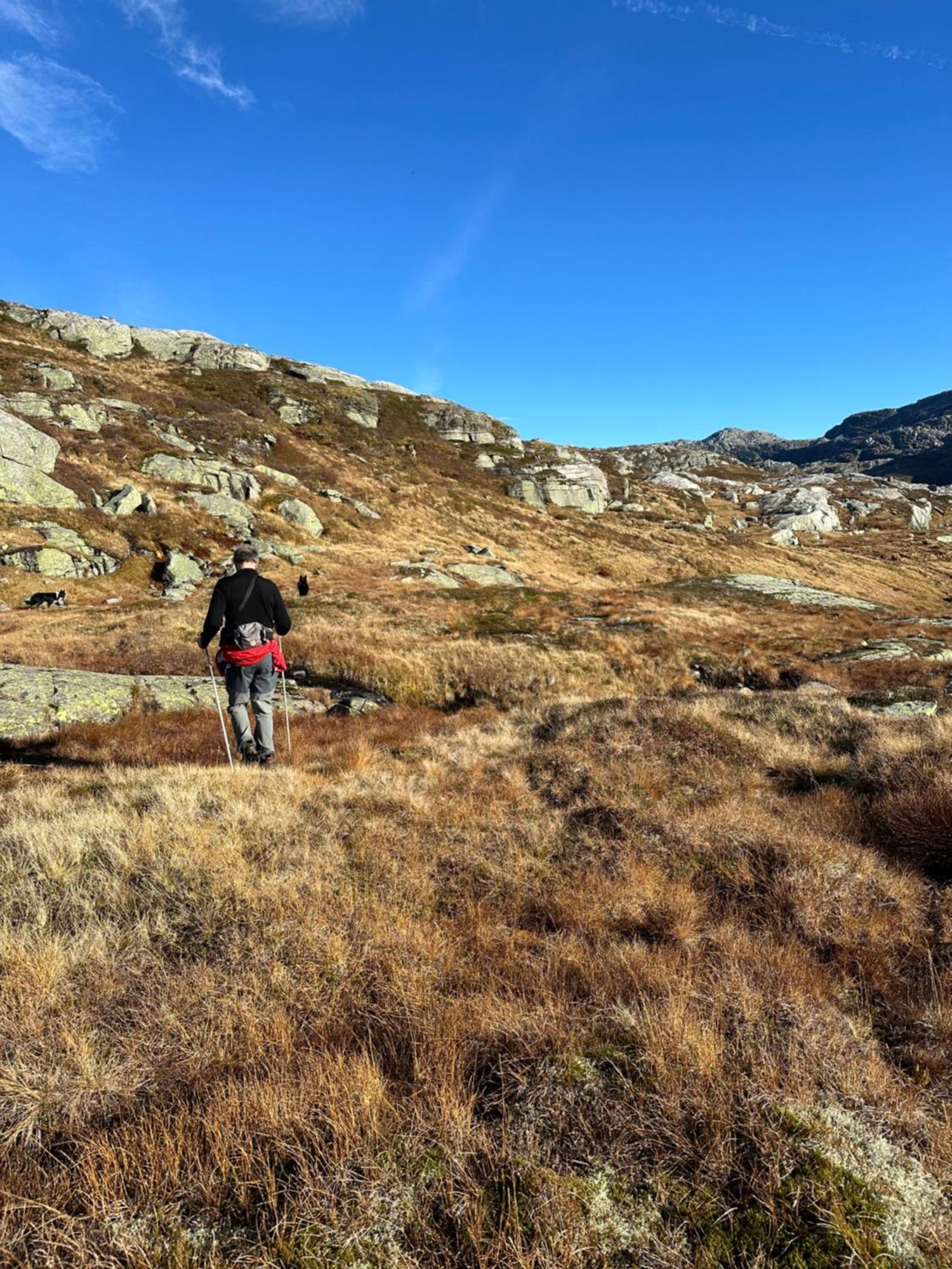 Akrafjorden Nature B&B As Fjæra Exteriör bild