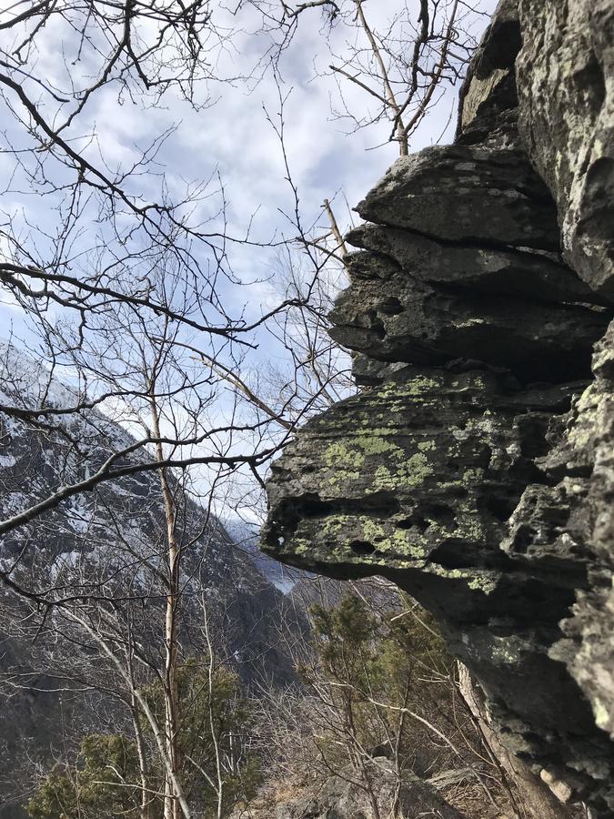 Akrafjorden Nature B&B As Fjæra Exteriör bild
